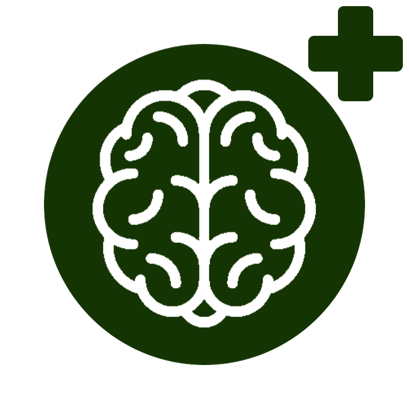 Optimize-Icon